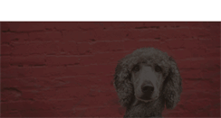 Desktop Screenshot of clooneydog.com
